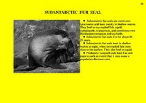 Prezentációk 'Fauna of Australia', 75.                