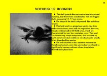 Prezentációk 'Fauna of Australia', 76.                