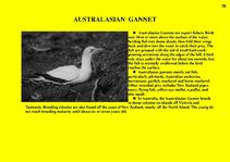 Prezentációk 'Fauna of Australia', 78.                