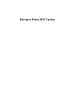 Kutatási anyagok 'European Union Small and Medium Enterprises Policy', 1.                