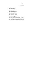 Kutatási anyagok 'European Union Small and Medium Enterprises Policy', 16.                