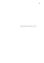 Kutatási anyagok 'Research Paper on the EU Energy Policy-Making', 10.                