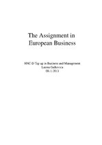 Kutatási anyagok 'The Assignment in European Business', 1.                