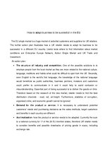 Kutatási anyagok 'The Assignment in European Business', 9.                