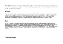 Összefoglalók, jegyzetek 'Osztályfőnöki tematikus terv', 24.                