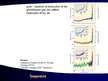 Prezentációk 'Global Climate Changes: Theory, Scientific Facts, Solutions', 4.                