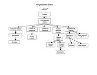 Összefoglalók, jegyzetek 'Organization Chart', 1.                