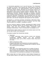 Kutatási anyagok 'Online Marketing Tools and Solutions for Promoting Mobile Phones with Cameras', 6.                