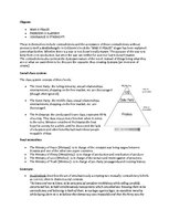 Összefoglalók, jegyzetek 'The Basic Concepts in Orwell's "1984"', 2.                