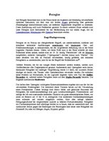 Kutatási anyagok 'Das Fernglas', 2.                