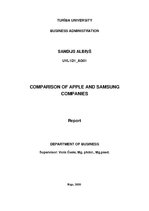 Kutatási anyagok 'Report about Two Companies', 1.                