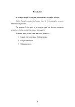 Kutatási anyagok 'Report about Two Companies', 2.                