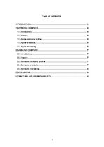 Kutatási anyagok 'Report about Two Companies', 3.                