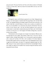 Kutatási anyagok 'Environment in the World', 43.                