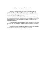 Esszék 'My Day without Computer, TV and Mobile Phone', 1.                