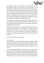 Kutatási anyagok 'The Institution Analysis - Viva Expeditions', 4.                