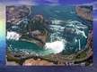 Prezentációk 'Niagara Falls', 14.                