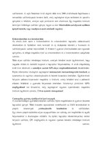 Összefoglalók, jegyzetek 'Száálítmányozás alapjai', 8.                