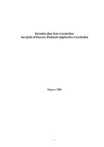 Kutatási anyagok 'Analysis of Imants Ziedonis Epiphanies Translation', 1.                