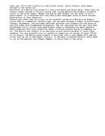 Esszék 'The Bottlenose Dolphin ', 2.                