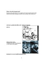 Kutatási anyagok 'Acid Rain', 5.                