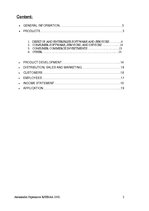 Kutatási anyagok 'Microsoft Incoroporation Company Performance', 2.                