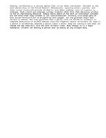 Esszék 'Alchohol', 2.                