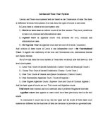 Esszék 'Latvian and Texas Court Systems', 1.                