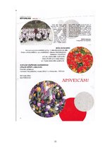 Kutatási anyagok 'Corporate Cultural Analysis of Ltd. "Veolia vides serviss"', 16.                