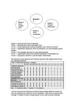 Összefoglalók, jegyzetek 'Winning Reputations', 12.                