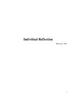 Esszék 'Individual Reflection', 1.                
