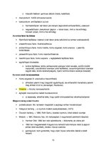 Összefoglalók, jegyzetek 'Őskori régészet a paleolitikumtól a vaskorig', 10.                