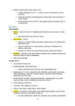 Összefoglalók, jegyzetek 'Őskori régészet a paleolitikumtól a vaskorig', 12.                