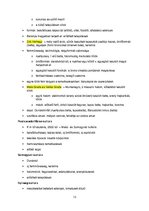 Összefoglalók, jegyzetek 'Őskori régészet a paleolitikumtól a vaskorig', 13.                