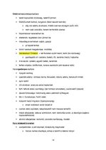 Összefoglalók, jegyzetek 'Őskori régészet a paleolitikumtól a vaskorig', 14.                