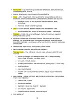 Összefoglalók, jegyzetek 'Őskori régészet a paleolitikumtól a vaskorig', 18.                