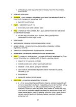 Összefoglalók, jegyzetek 'Őskori régészet a paleolitikumtól a vaskorig', 21.                