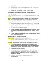 Összefoglalók, jegyzetek 'Őskori régészet a paleolitikumtól a vaskorig', 22.                