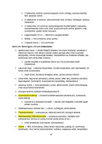 Összefoglalók, jegyzetek 'Őskori régészet a paleolitikumtól a vaskorig', 23.                