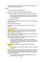 Összefoglalók, jegyzetek 'Őskori régészet a paleolitikumtól a vaskorig', 24.                