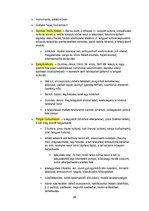 Összefoglalók, jegyzetek 'Őskori régészet a paleolitikumtól a vaskorig', 28.                