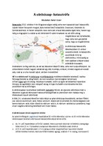 Esszék 'Vörösiszap katasztrófa beadandó', 1.                