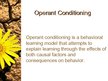 Prezentációk 'Behavioral Learning Theory', 12.                