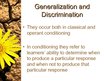 Prezentációk 'Behavioral Learning Theory', 36.                