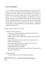 Esszék 'Diplomatic Immunity from Criminal Liability', 8.                