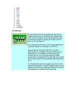 Kutatási anyagok 'Das Gedächtnis', 37.                