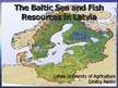 Prezentációk 'The Baltic Sea and Fish Resources in Latvia', 1.                