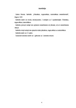 Kutatási anyagok 'Planning, Organizing and Controlling in Management', 4.                