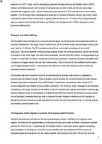 Összefoglalók, jegyzetek 'European Union Economical Integration', 2.                