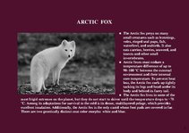 Prezentációk 'Alaska Fauna', 2.                